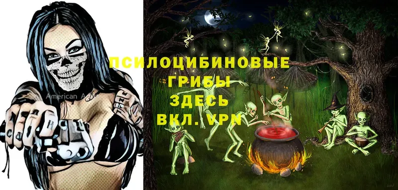 Галлюциногенные грибы Magic Shrooms  кракен зеркало  Новосибирск  как найти закладки 